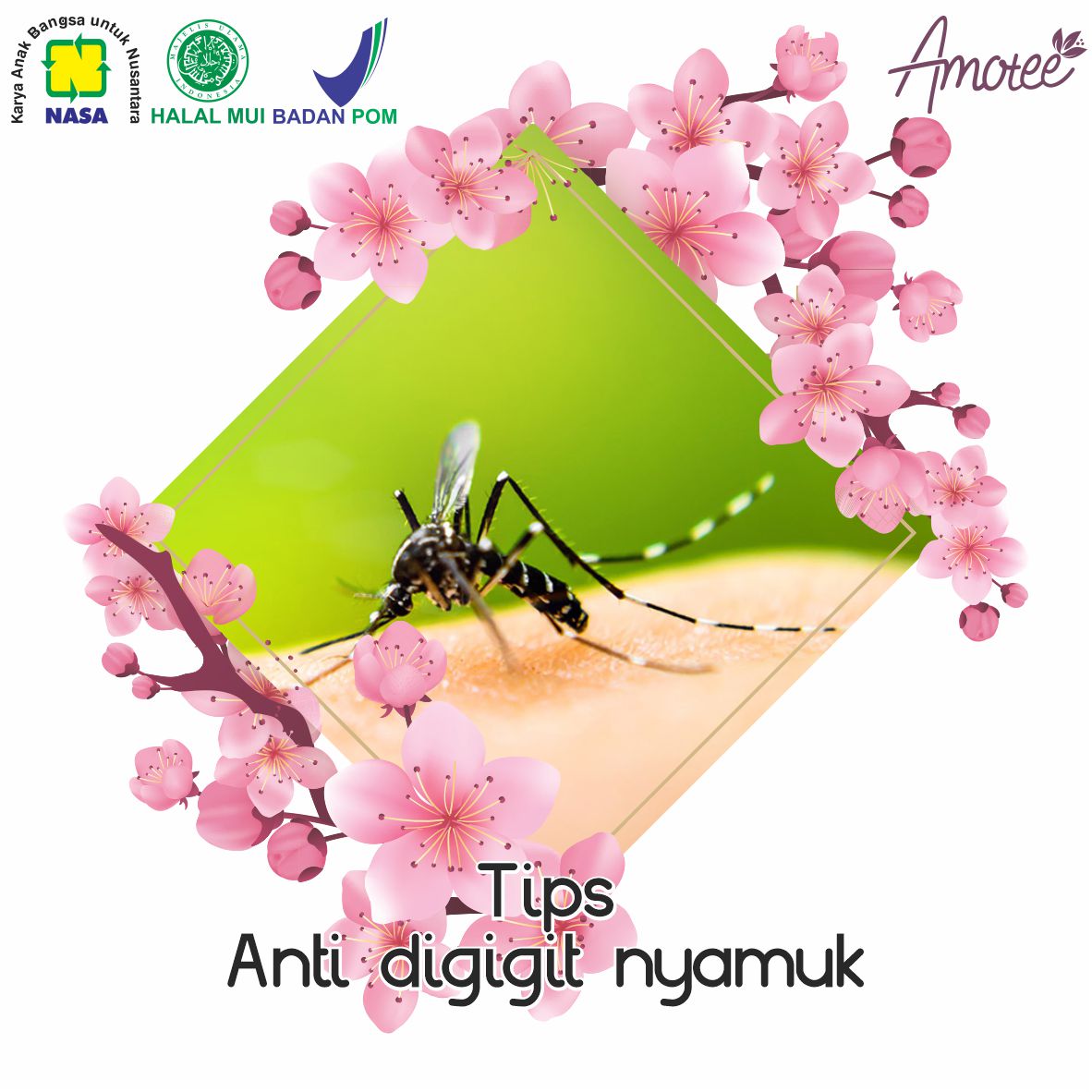 Tips Anti Digigit Nyamuk