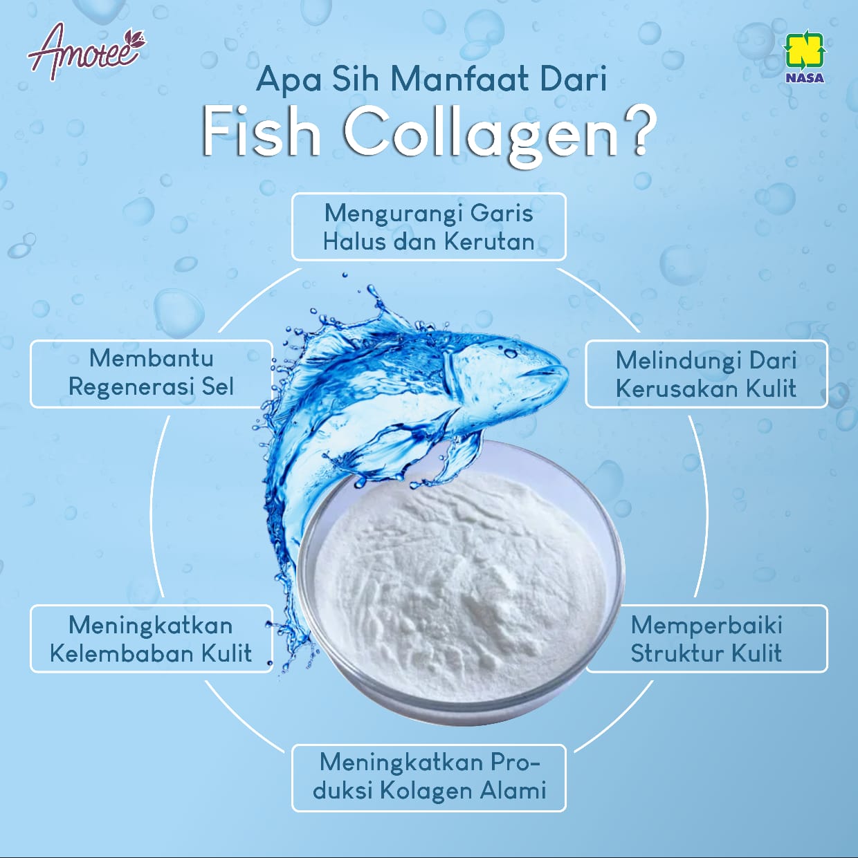 Apa Sih Manfaat Dari Fish Collagen ?